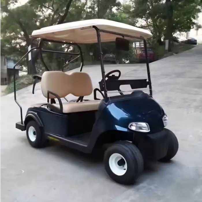 Two-Seater Golf Cart with USA Curtis Controller – Efficient and Customizable