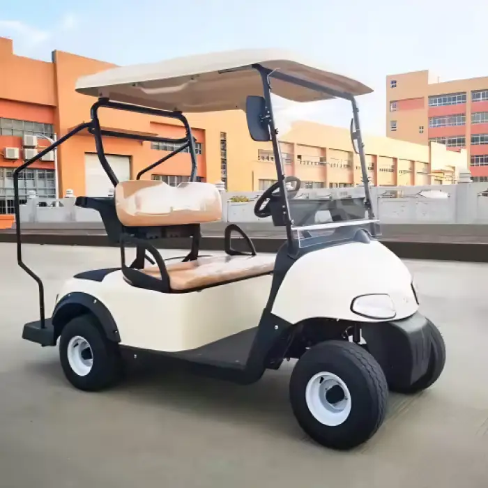 Two-Seater Golf Cart with USA Curtis Controller – Efficient and Customizable