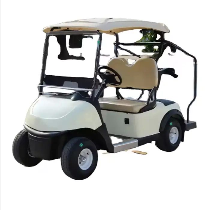 Two-Seater Golf Cart with USA Curtis Controller – Efficient and Customizable