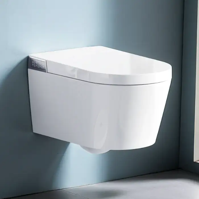 Arrow Ceramic Toilet Sanitary Luxury Toilet Modern Washdown One Piece Wall-Hung Smart Toilet