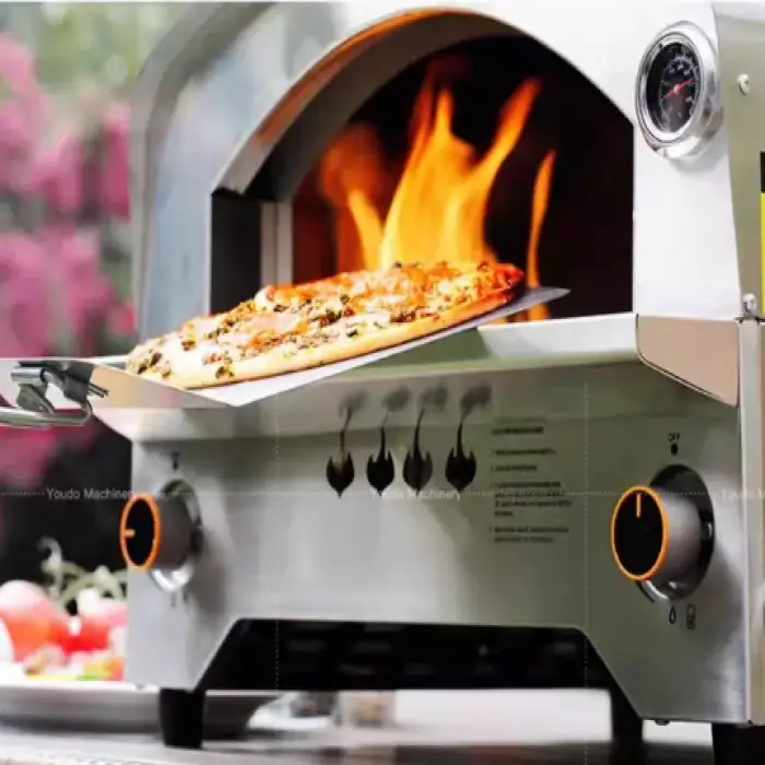 Gas Propane Pizza Oven And BBQ Grill Meat Smoker Gas Outdoor Portable RV Boat Camping Kitchen