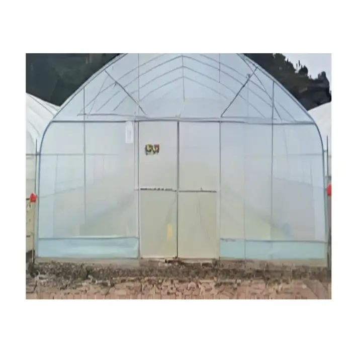 500 sqm Tunnel Greenhouse