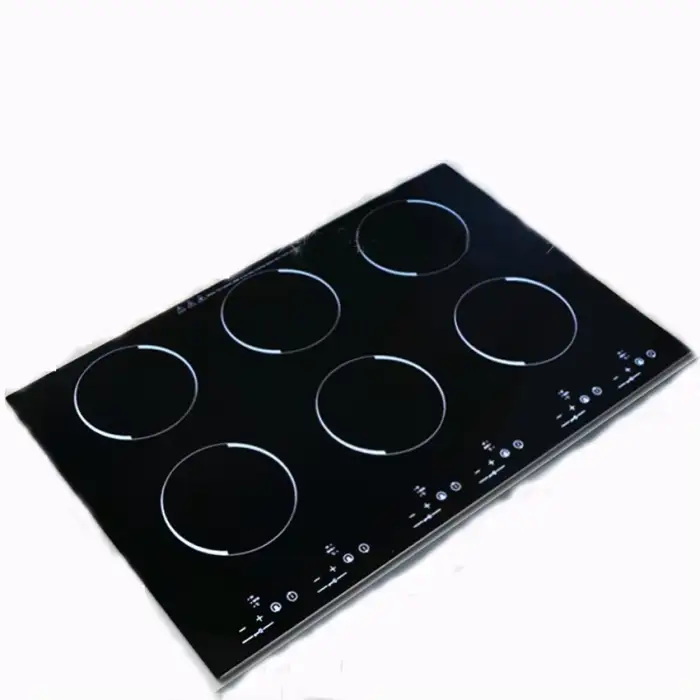 6 Burner Induction Stove