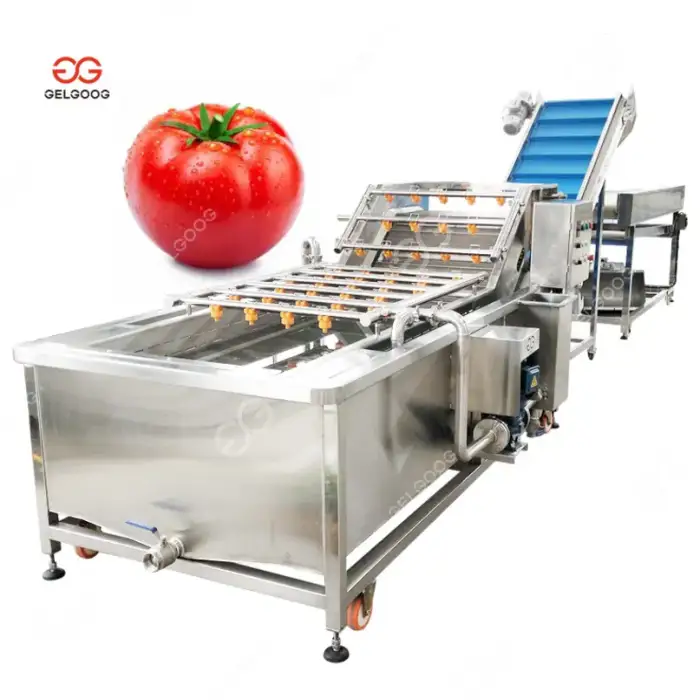 Automatic Date Palm Fruit Washing And Drying Machine Dates Processing Machine