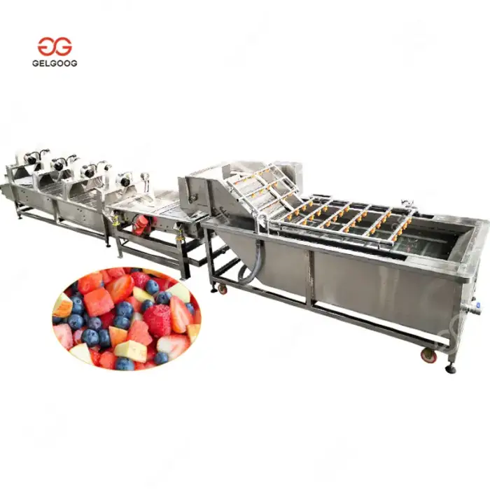 Automatic Date Palm Fruit Washing And Drying Machine Dates Processing Machine