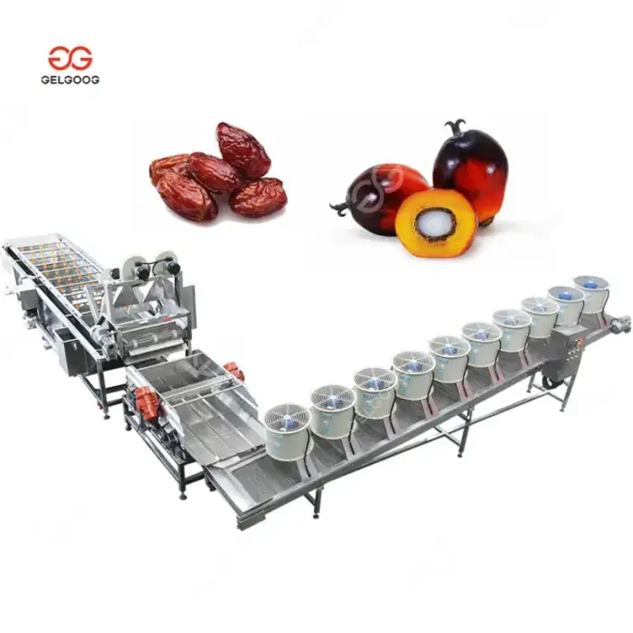 Automatic Date Palm Fruit Washing And Drying Machine Dates Processing Machine