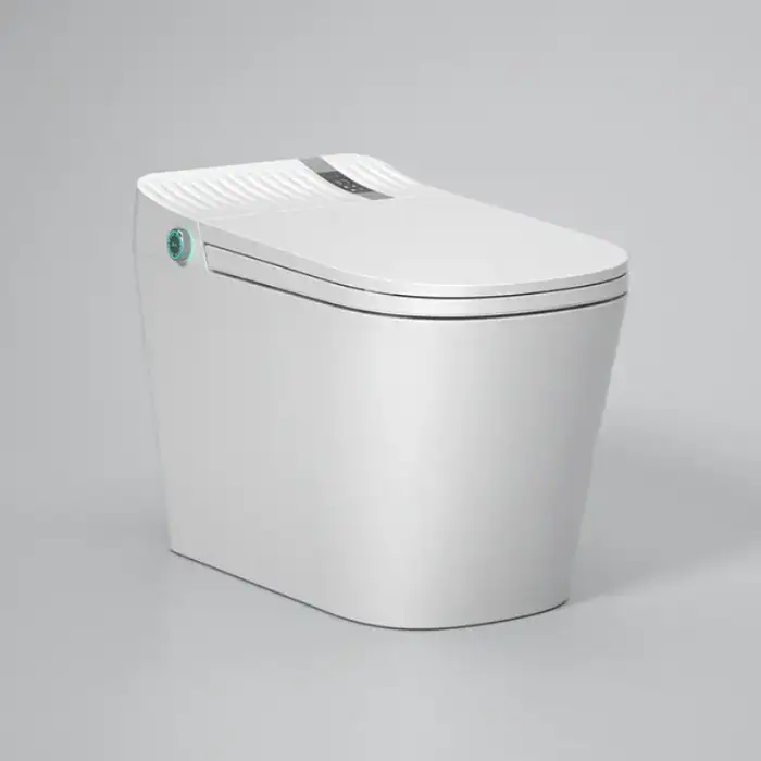 Innovation Floor Mounted Connected White Smart Toilet