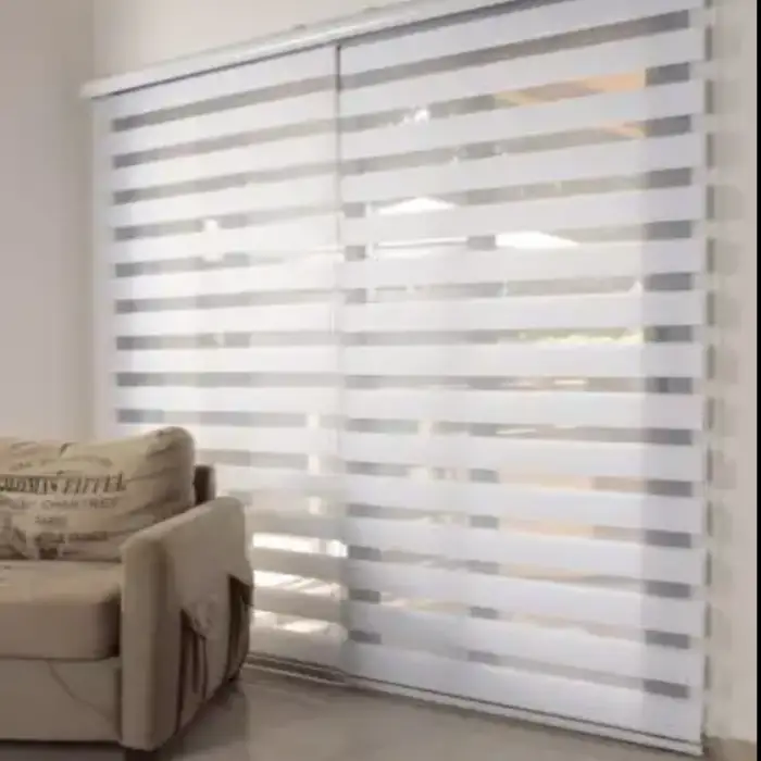 Day and Night Office Smart Wifi Shades Custom Double Electric Curtain Fabric Motorized Blinds