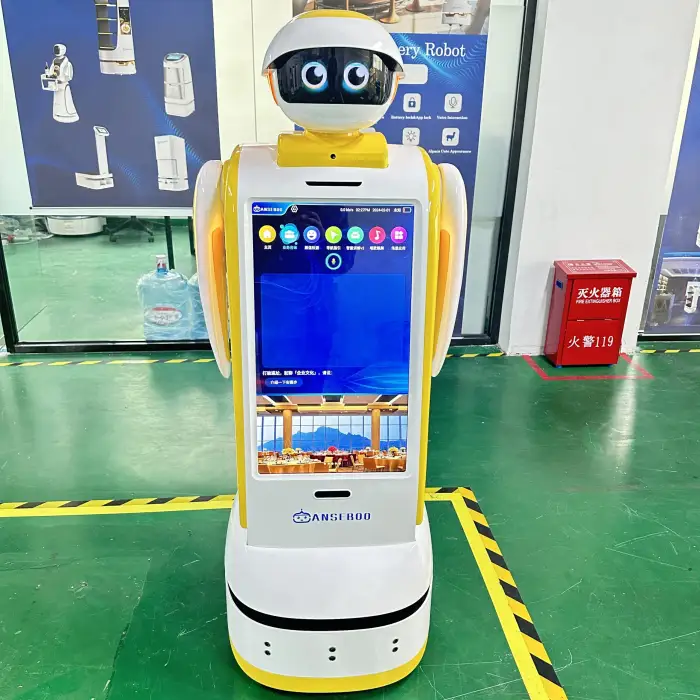 Anseboo Commercial Reception Welcome Service Robot - Alfred