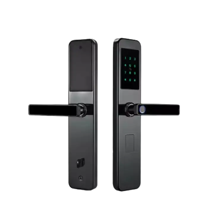 Smart Remote Control Ble Wifi Biometric Fingerprint Security Tuya Smart Locks Card Key Electric Digital Door Lock