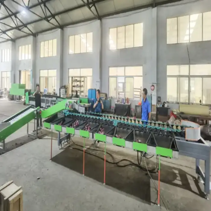 Potato washing drying sorting apple grading machine