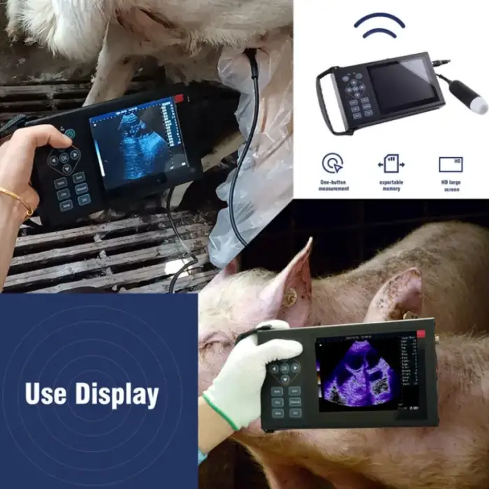 Medical Portable Full Digital Black And White Ultrasound Machine Veterinary Equipment For Clinic