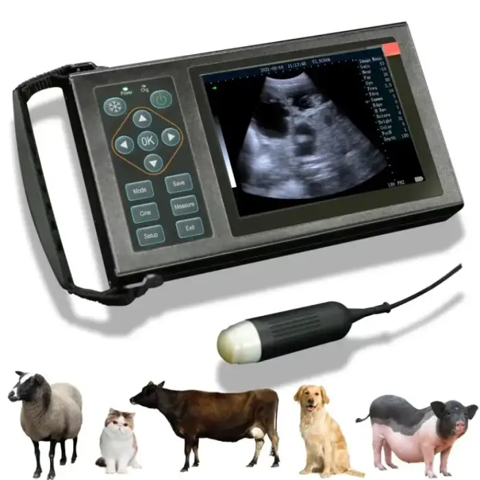 Medical Portable Full Digital Black And White Ultrasound Machine Veterinary Equipment For Clinic