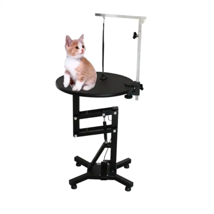 BPM-ET111V Customized stainless steel electronic dog accessories pet grooming table hydraulic