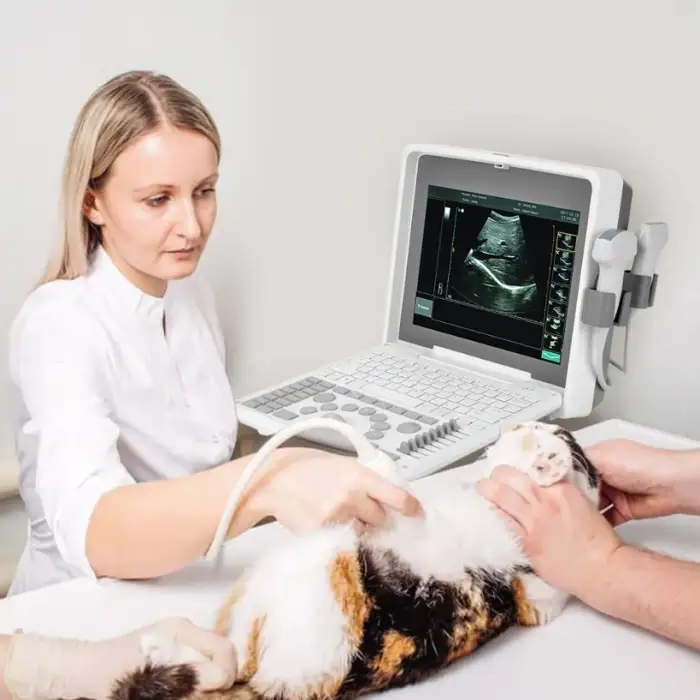 Hospital Diagnostic Ultrasound Medical Veterinary Portable Machine