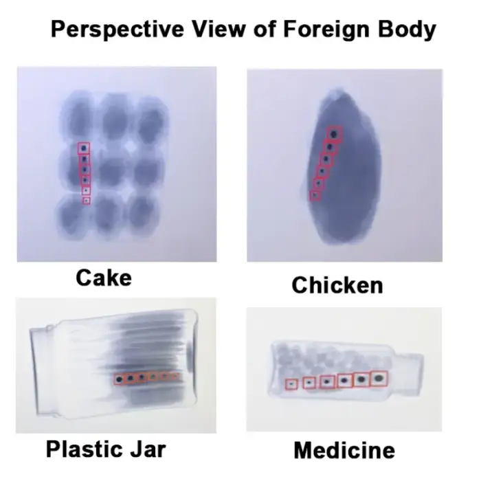 X-Ray Food Metal Foreign Body Detector - X-Ray Machines for Food Industry