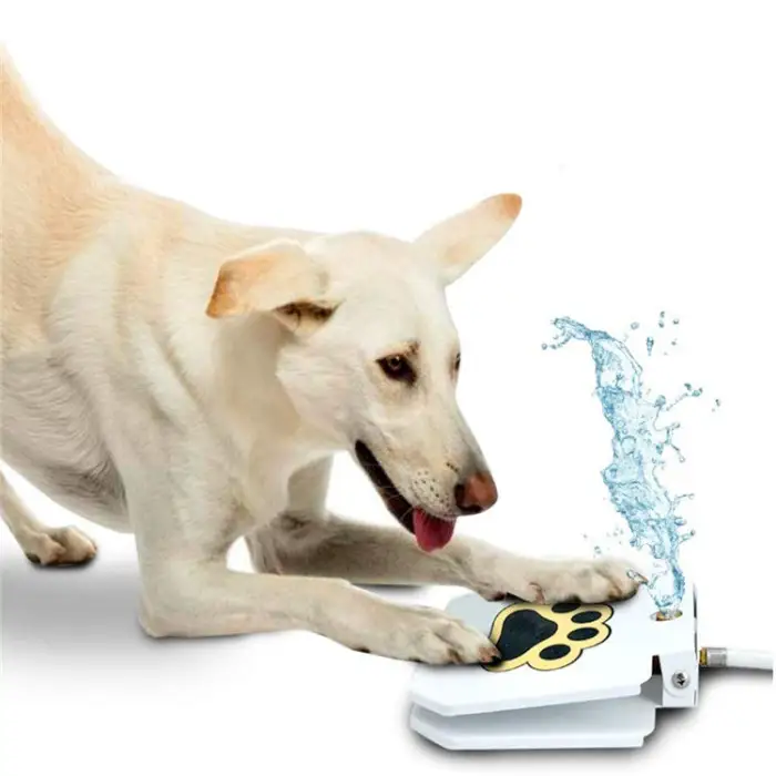 Dog Water Fountain Step On Toy Paw Petal Activated Dog Water Sprinkler Essential Outdoor Automatic Water Dog Fountain