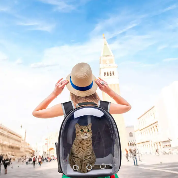 Travel Breathable Pet Carrying Bags Multi Purpose Pet Treat Backpack