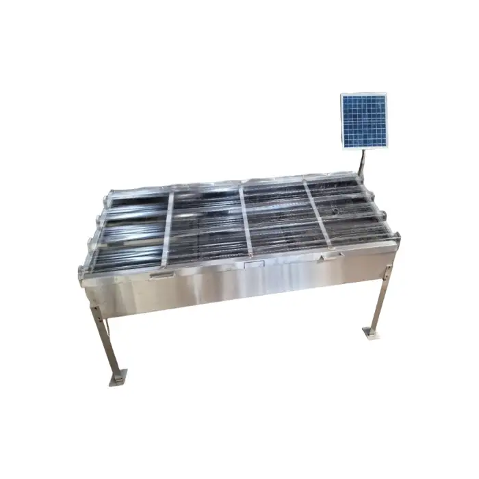 Solar Drying for Fruits and Vegetables