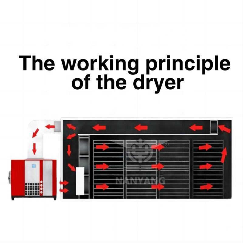 Tray Dehydrator For Efficient Drying And Dehumidifying