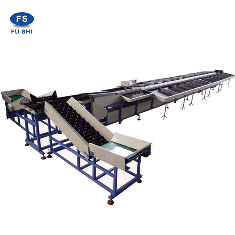 Serviceable Tomato Washing And Selection Equipment