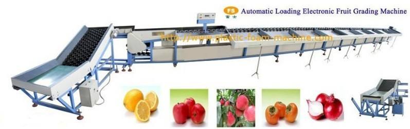 Serviceable Tomato Washing And Selection Equipment