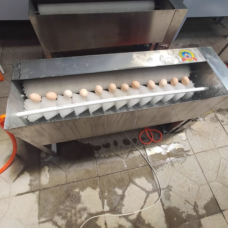 Egg Washing Machine