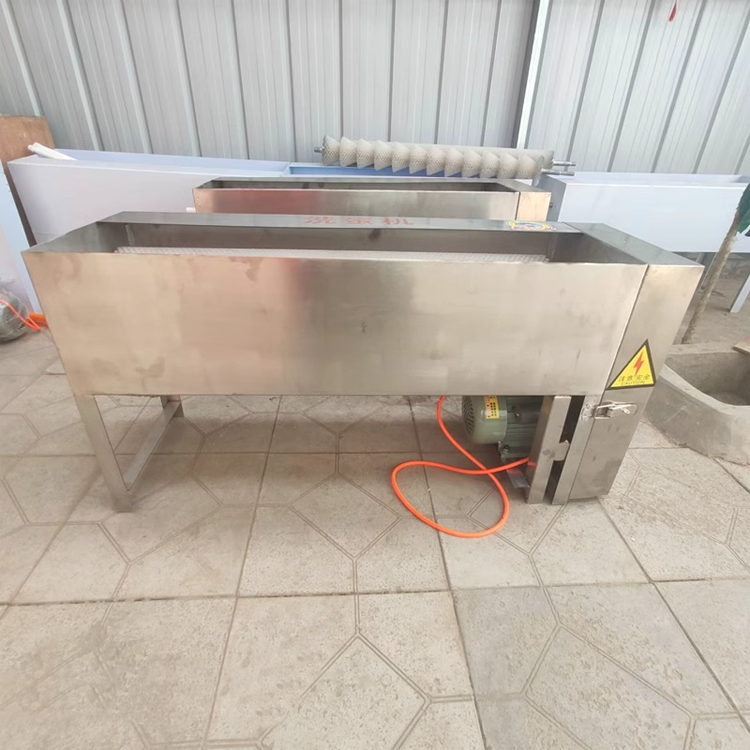 Egg Washing Machine