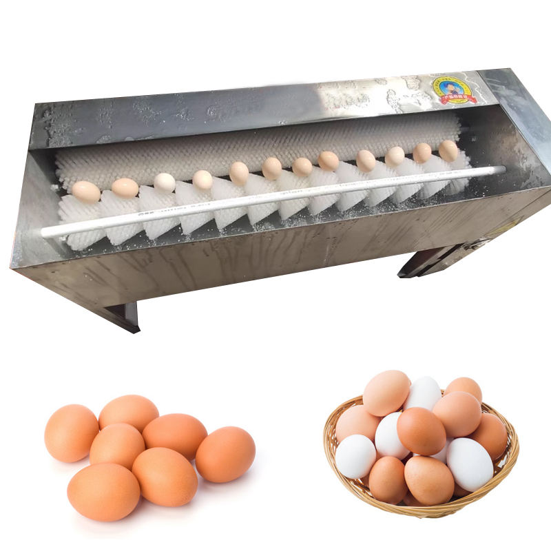 Egg Washing Machine