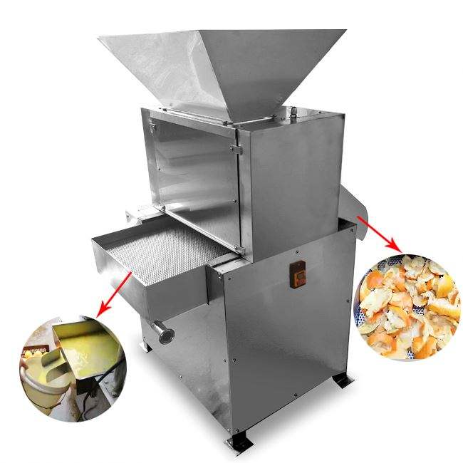 mango puree making machine