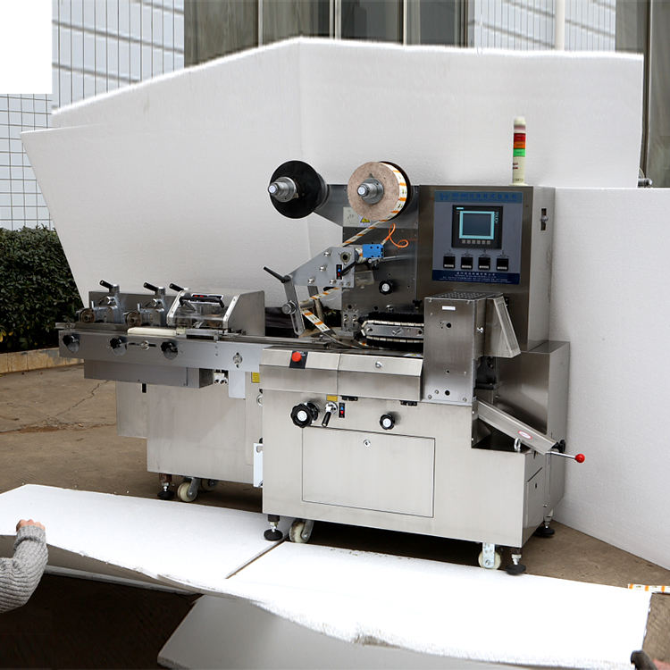 ECHO Automatic Pillow Packing Machine