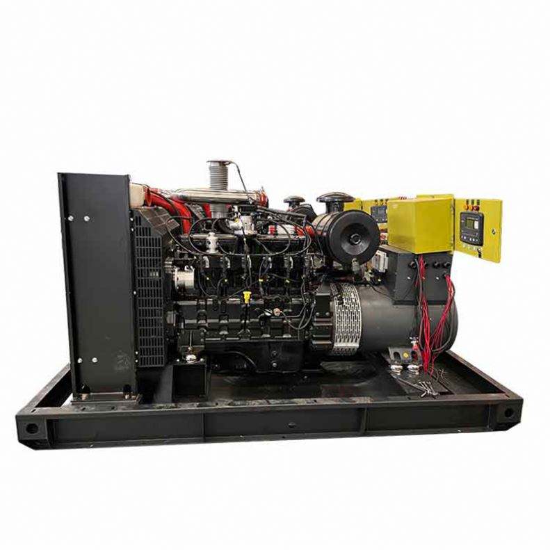 Junwei JW-LPG-2024-1461 CHP Generator