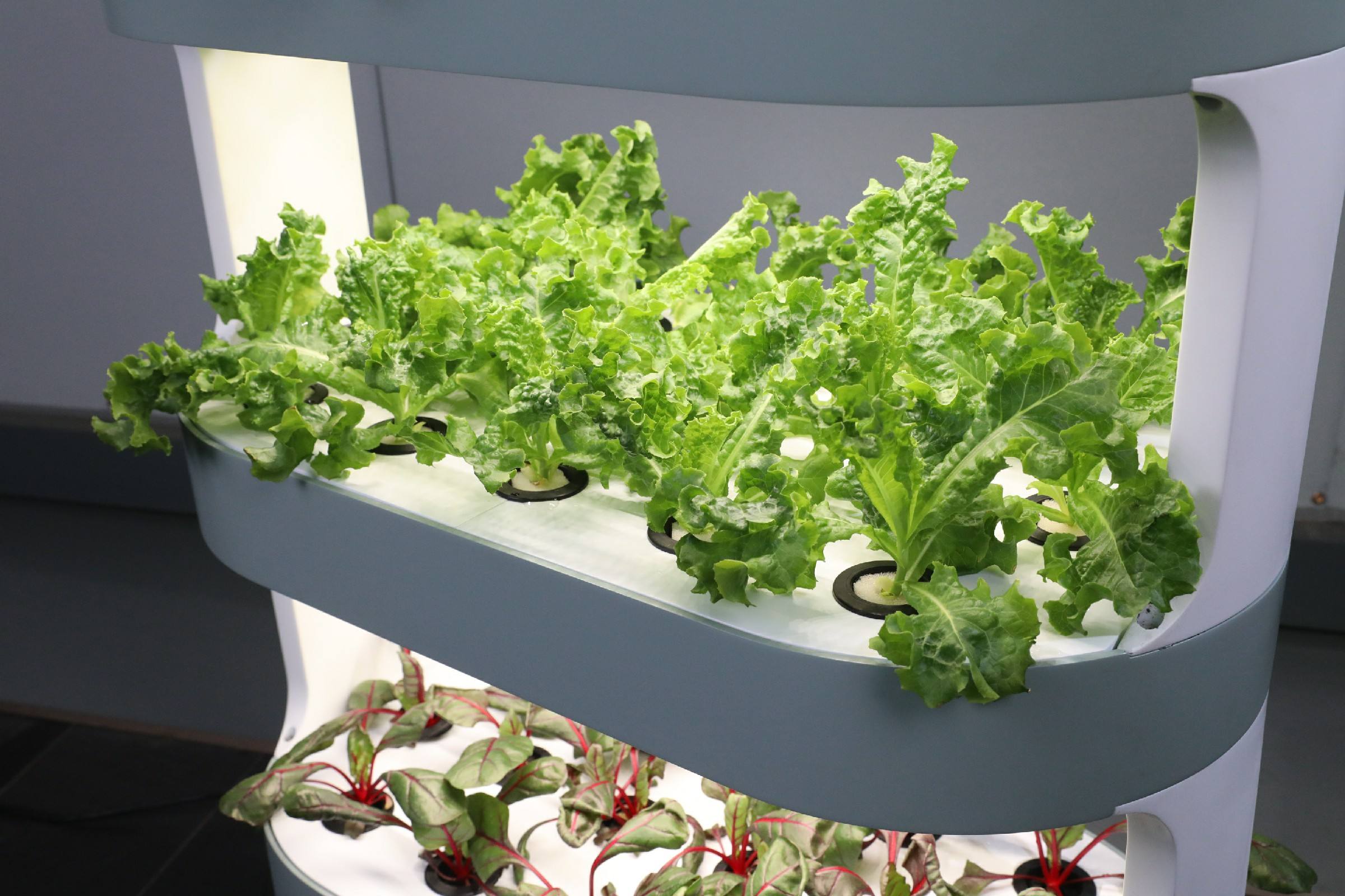 Unique Farm Hydroponic agricultural equipment for indoor plant