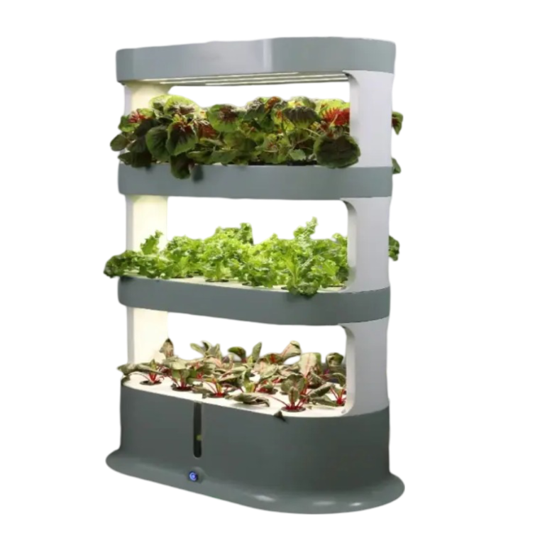 Automatic Indoor Hydroponic System