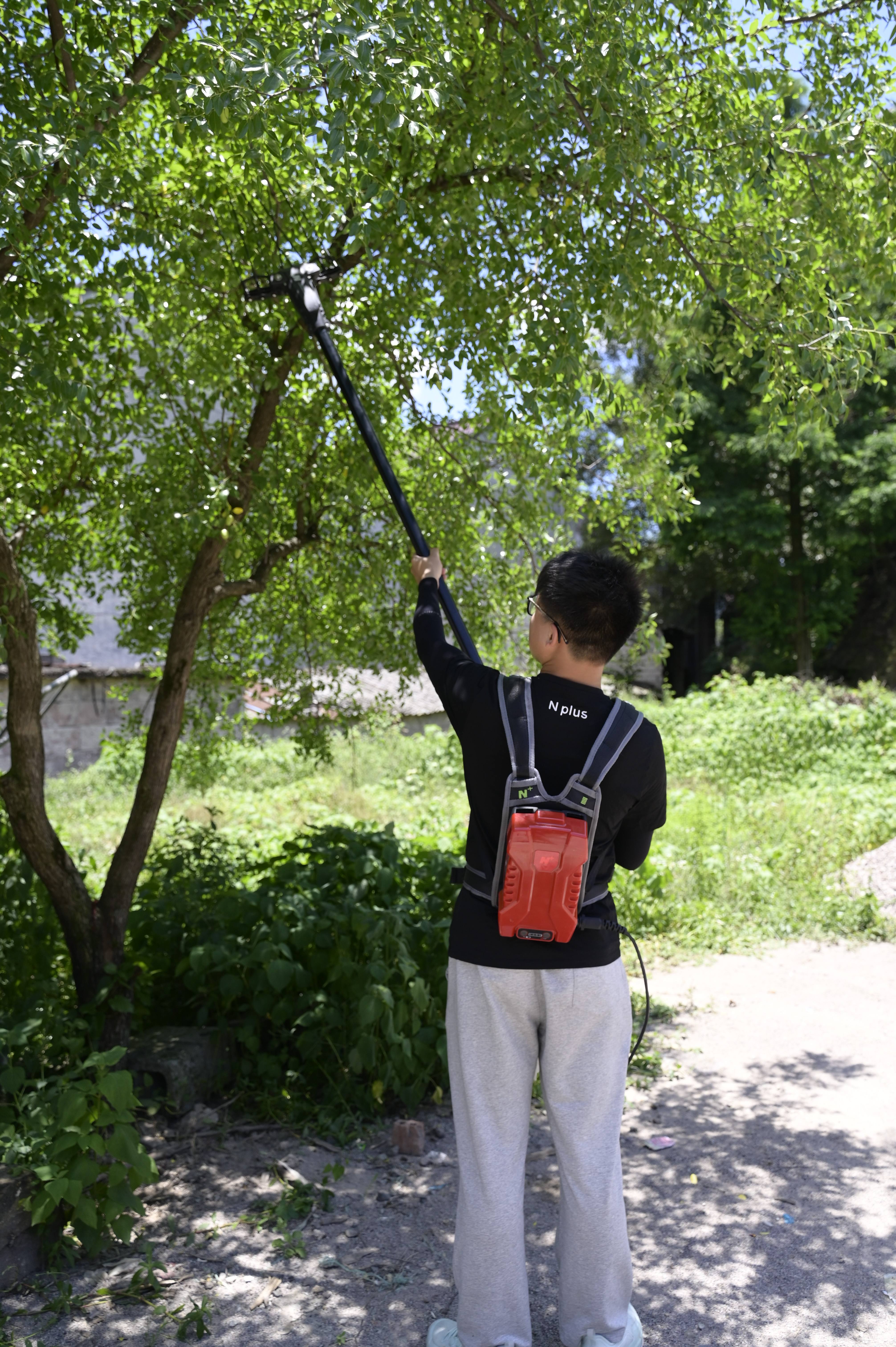 Electric Olive Harvest Machine