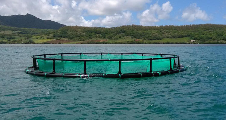 HDPE Floating Fish Farming Cage