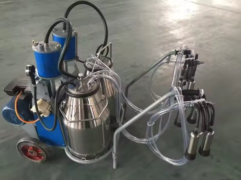 Double Barrel Cow Milking Machine