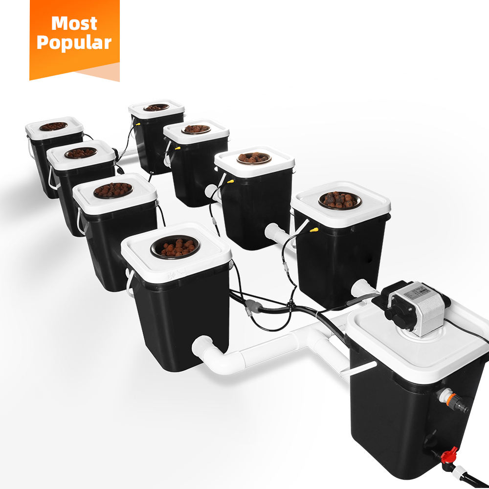 DWC Hydroponic Cultivation System