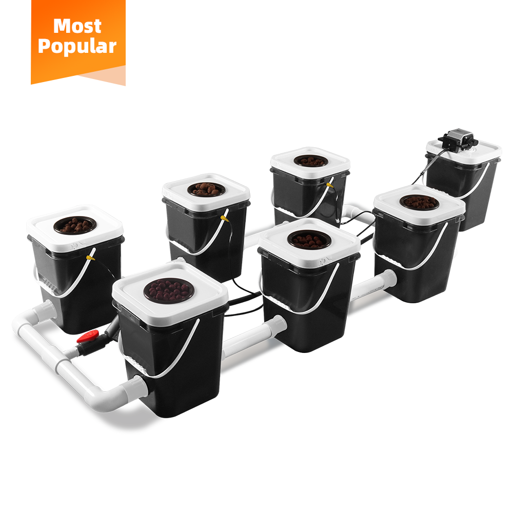 DWC Hydroponic Cultivation System