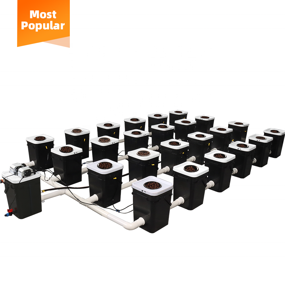 DWC Hydroponic Cultivation System