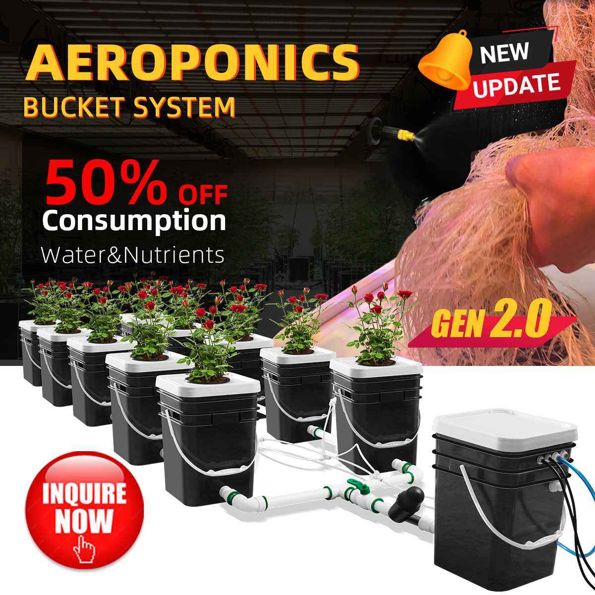 DWC Hydroponic Cultivation System