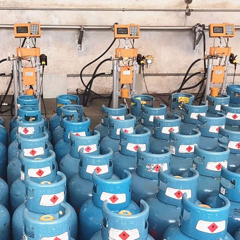 Electronic LPG Gas Filling Scale