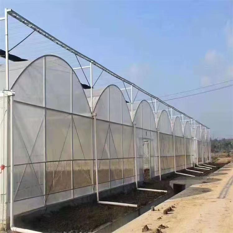 Multi-span Tunnel  Hydroponics Plastic Greenhouse