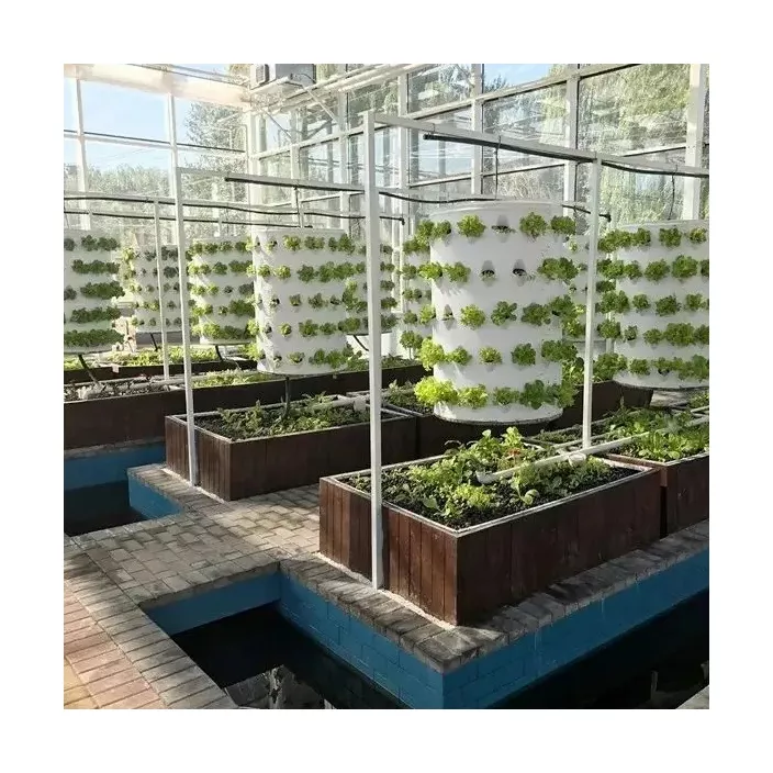 Multi-span Tunnel  Hydroponics Plastic Greenhouse