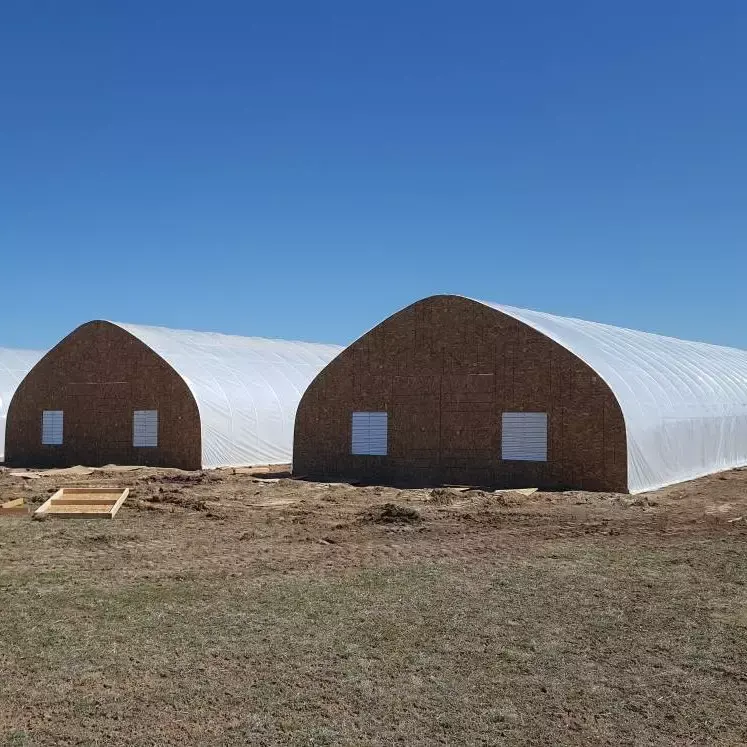 SQ-2 Tunnel Greenhouse