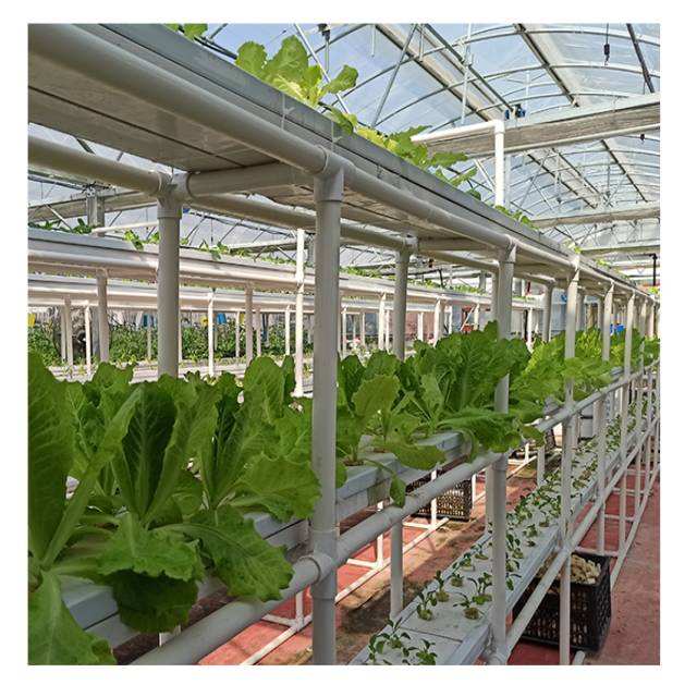 Agricultural Commercial Industrial Plastic Film tunnel Greenhouse Supporting System