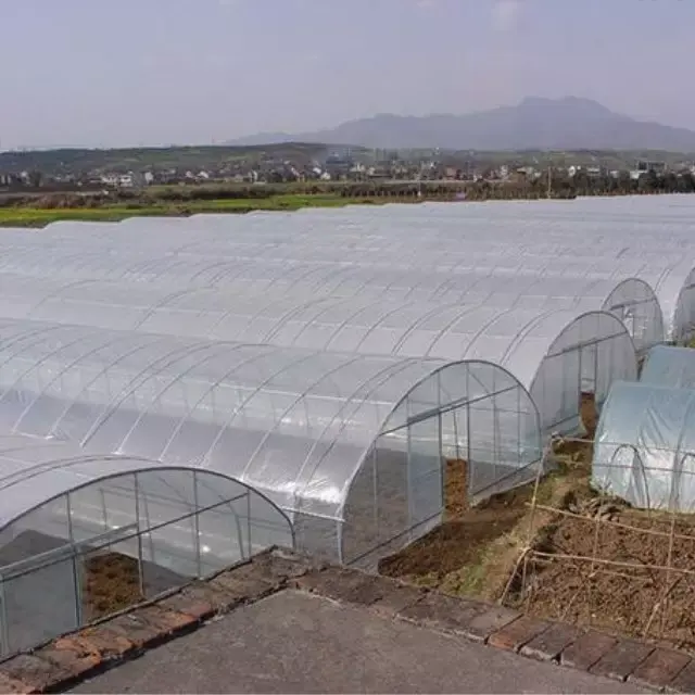 Agricultural Commercial Industrial Plastic Film tunnel Greenhouse Supporting System