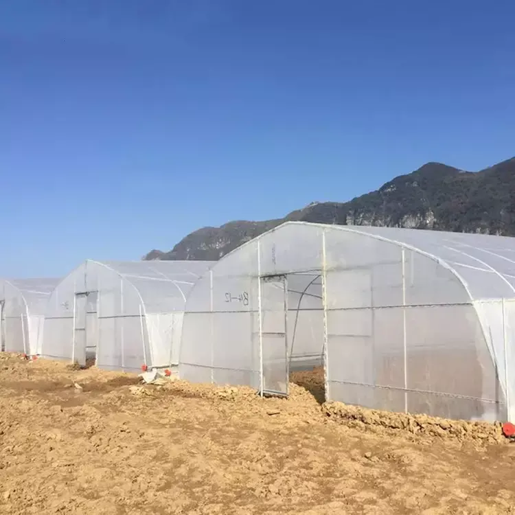 Agricultural Commercial Industrial Plastic Film tunnel Greenhouse Supporting System