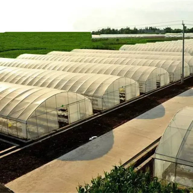 Agricultural Commercial Industrial Plastic Film tunnel Greenhouse Supporting System