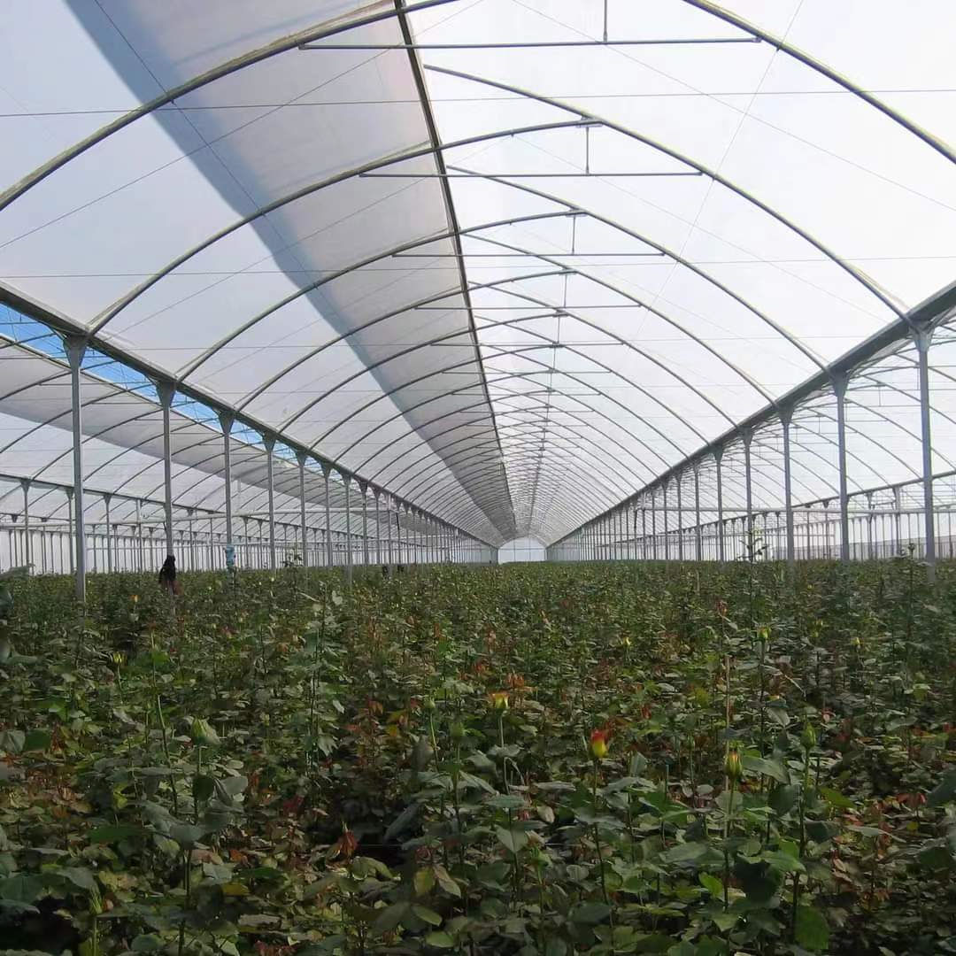 Agriculture Greenhouse Frame Multispan